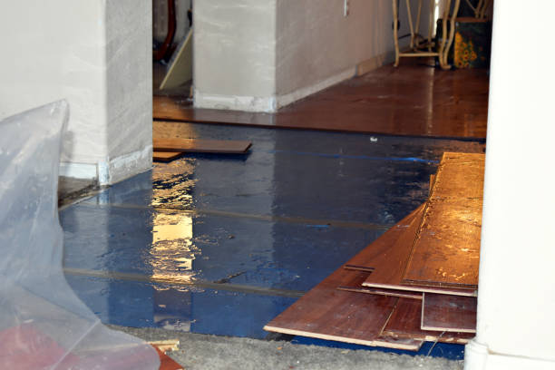 Professional Flood Cleanup technician working in Pine River, WI